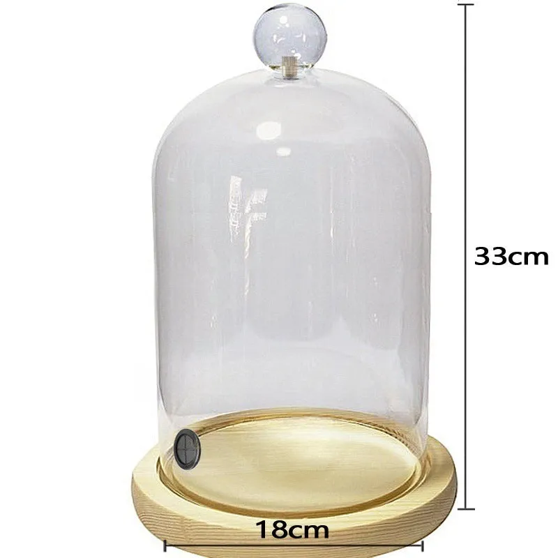 Cocktail Ceremony Cloche Cupola Vetro 20 cm Presentazione