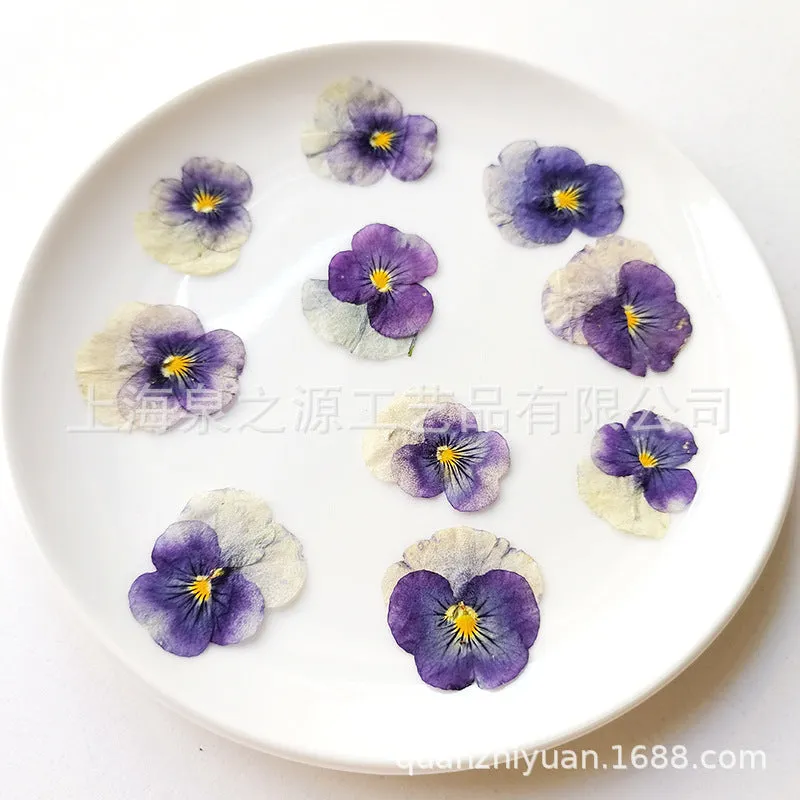 Cocktail Ceremony fiori edibili viola secchi 20 pz