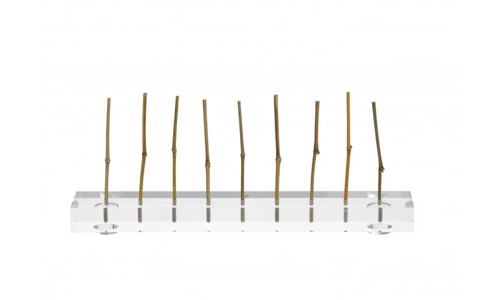 Showbar Deli supporto stecchi medi 27x2 cm foro 4,25 mm