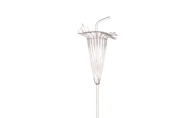 Showbar Hibiscus cannuccia vetro 30cm riutilizzabile