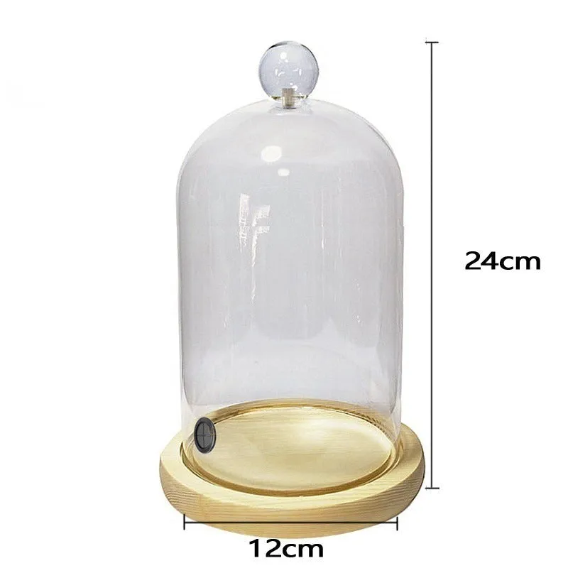 Cocktail Ceremony Cloche Cupola Vetro 20 cm Presentazione