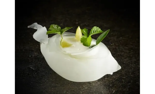 Showbar Ice Age Lemon stampo ghiaccio 24x10 cm