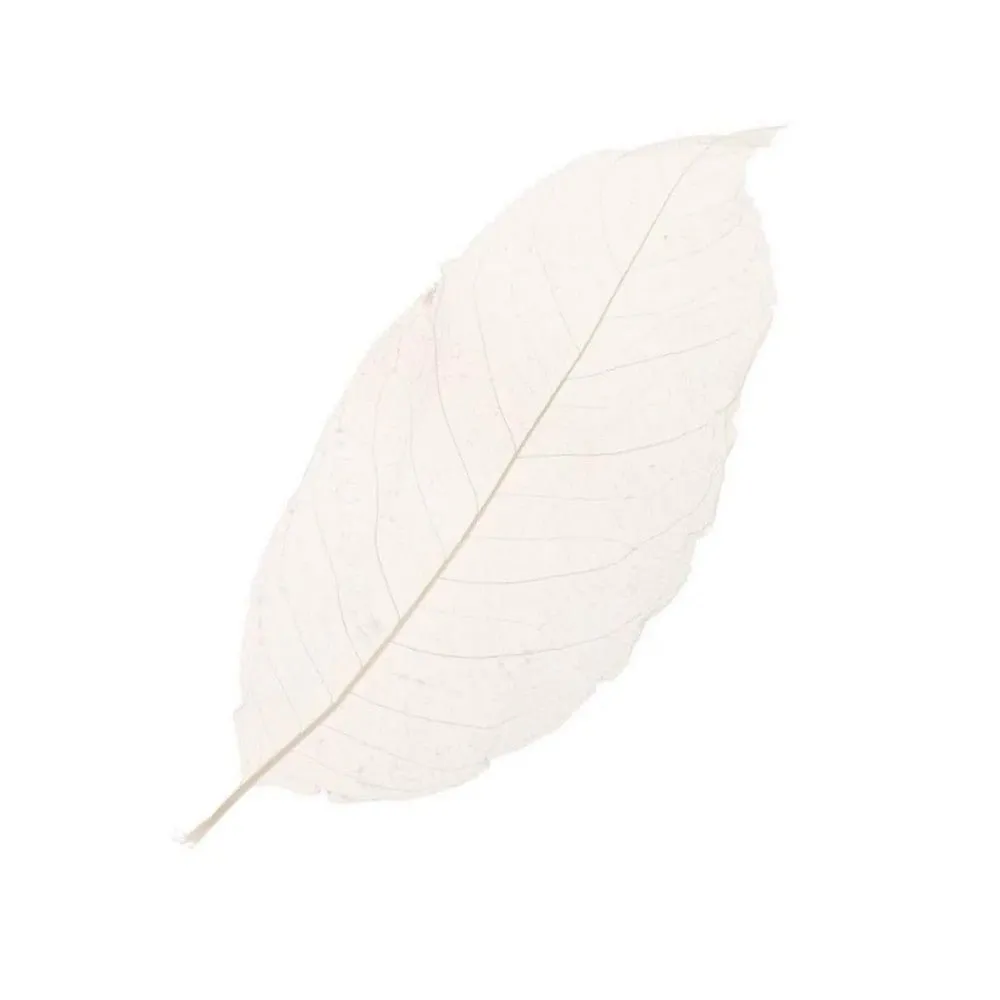 Cocktail Ceremony Skeleton Leaves decorazioni 100 pezzi 5-7 cm