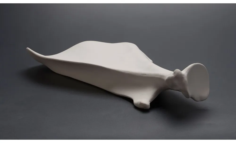 Showbar Scapola Piatto Porcellana 33x20 cm