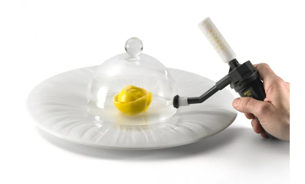 Aladin Aromatic aromatizzatore affumicatore cocktail