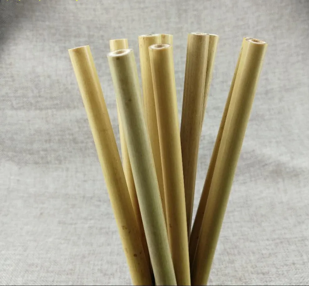 Cocktail Ceremony Bamboo Cannucce Bambù 20 Pezzi 230 mm Verdi