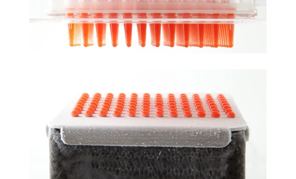 Showbar Caviar Box kit sferificazione caviale