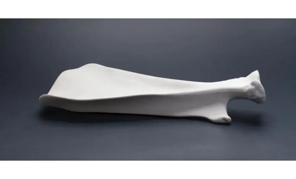 Showbar Scapola Piatto Porcellana 33x20 cm
