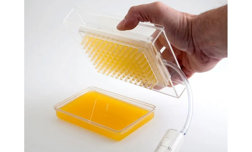 Showbar Caviar Box kit sferificazione caviale