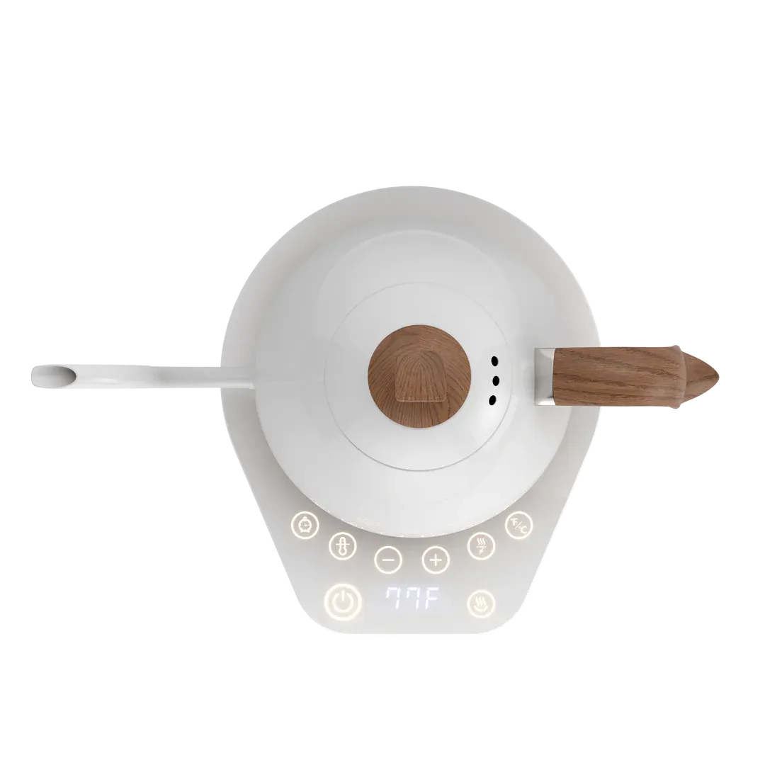 Brewista Artisan Bollitore Elettrico Gooseneck 1,0 Litro Nero