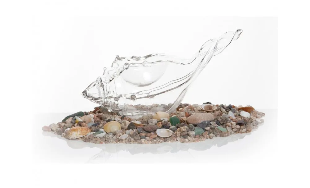 Showbar Lumaca di Mare Piatto Vetro 70 ml 21 cm Finger Food