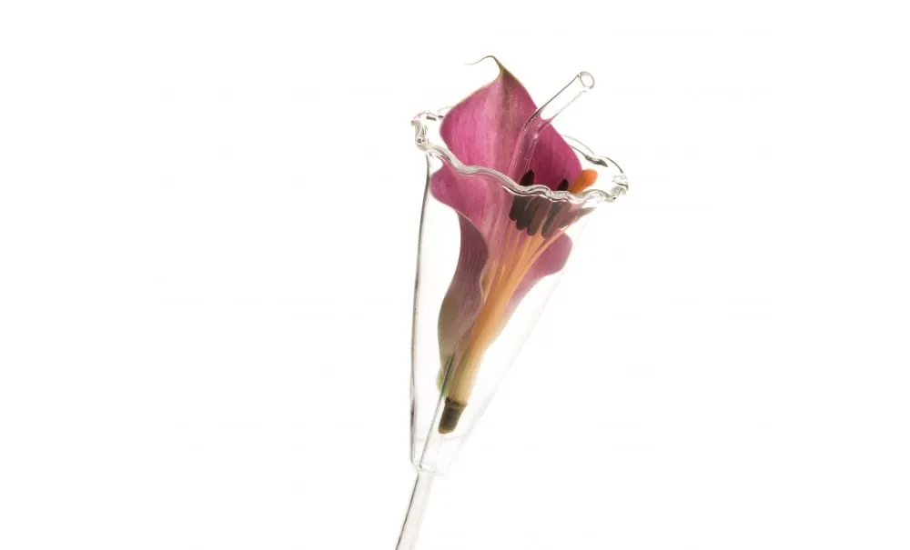 Showbar Colibrì cannuccia in vetro 30 cm