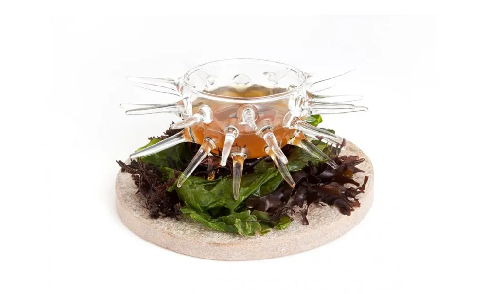 Barchef Riccio di Mare Piatto 17 cm 125 ml Nero