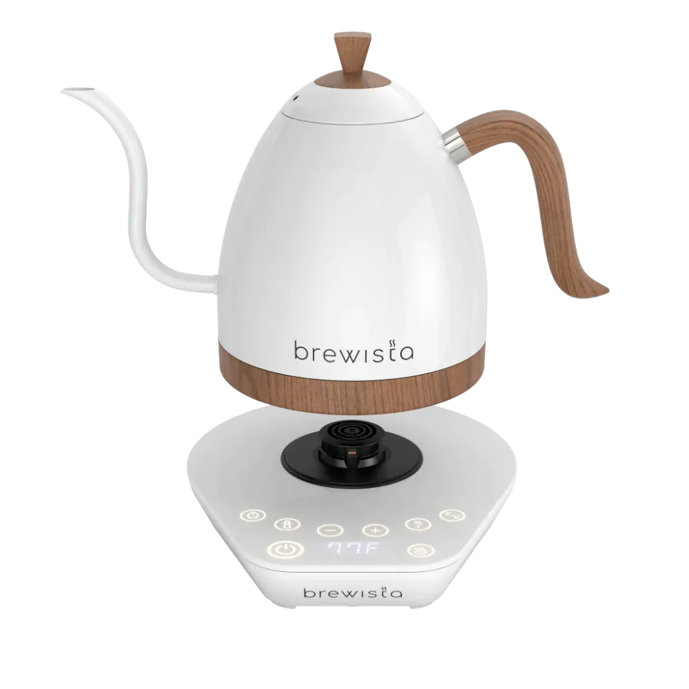 Brewista Artisan Bollitore Elettrico Gooseneck 1,0 Litro Nero