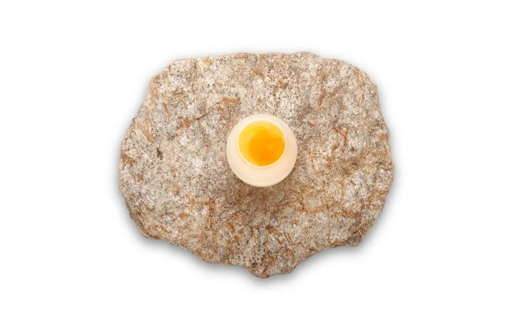 Showbar Eggs Piatto Portauovo 65 ml 6 pezzi