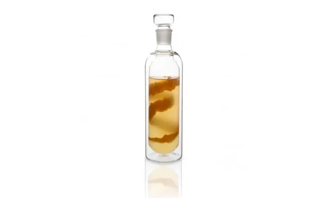 Showbar Thermal Bottle bottiglia termica 500 ml