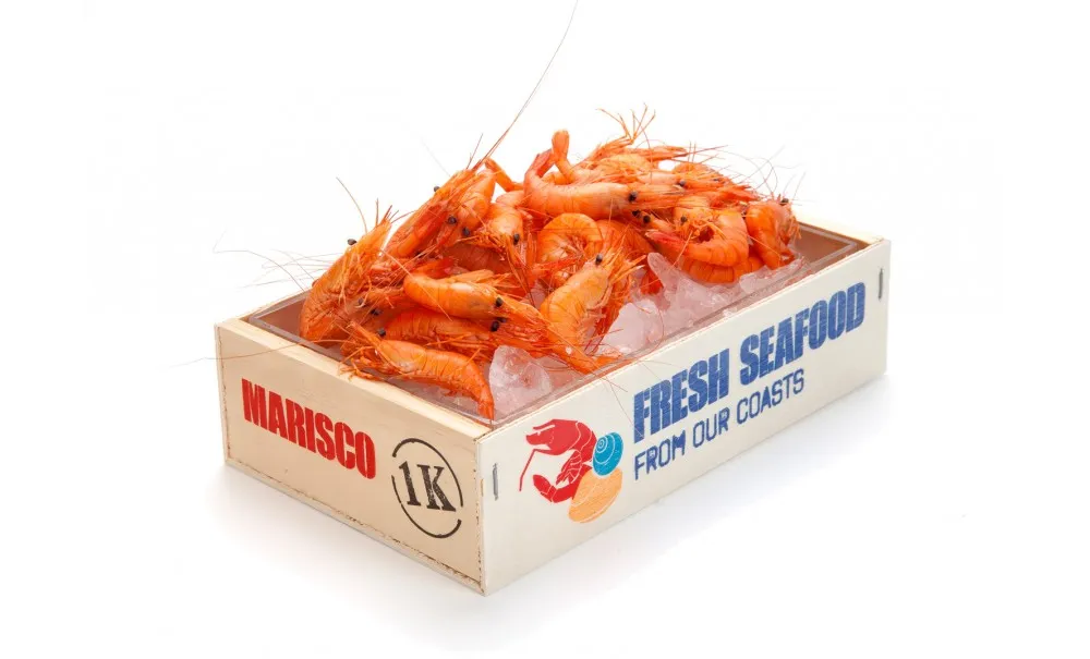 Showbar Cassetta di Pesce contenitore 21 cm 8 pezzi