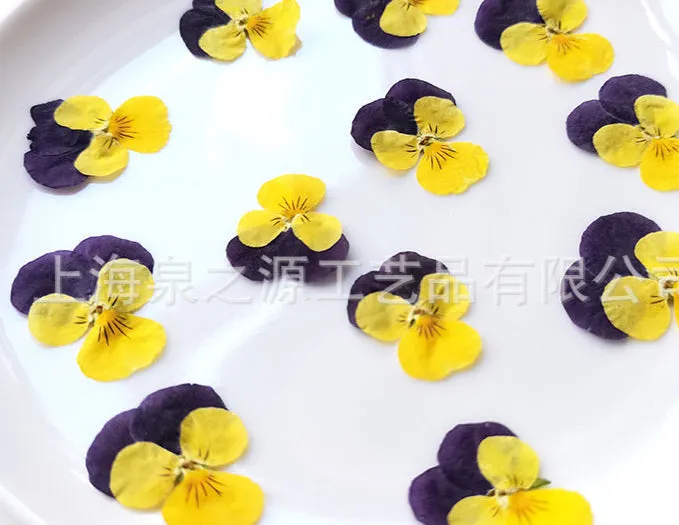Cocktail Ceremony fiori secchi gialli eduli decorazioni 20 pz