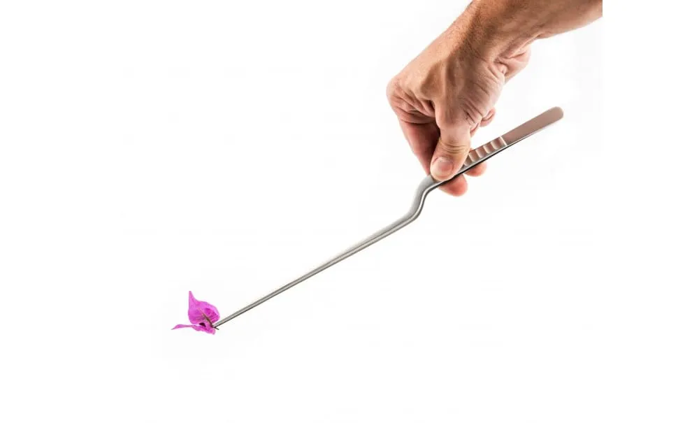 Showbar Elite Sushi Pinza Grande 30 cm Acciaio