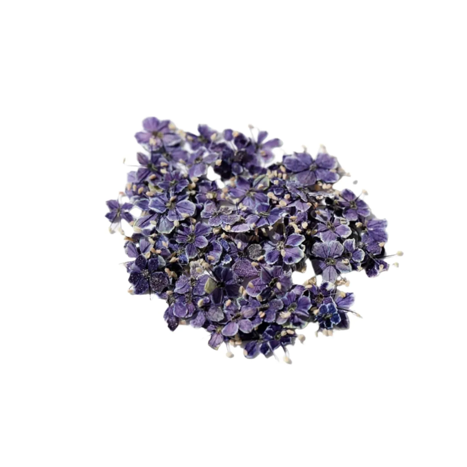 Cocktail Ceremony fiori edibili viola secchi 20 pz