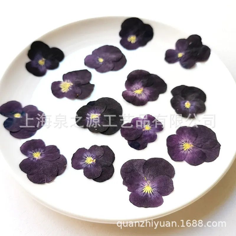 Cocktail Ceremony fiori edibili viola secchi 20 pz
