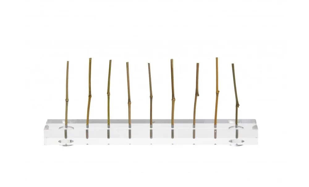 Showbar Deli supporto stecchi sottili 27x2 cm ø 3 mm