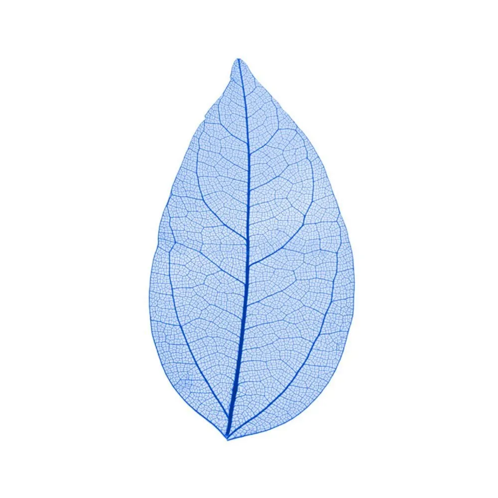 Cocktail Ceremony Skeleton Leaves decorazioni 100 pezzi 5-7 cm