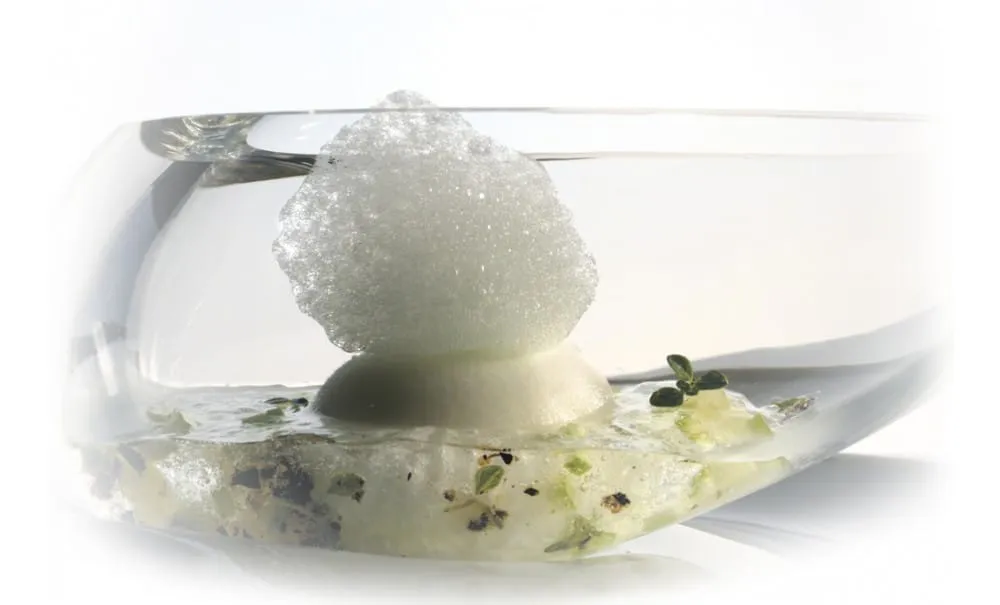 Showbar macchina schiuma alimentare elettrica