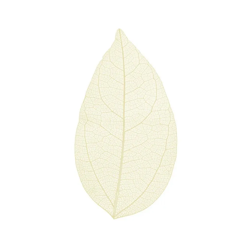 Cocktail Ceremony Skeleton Leaves decorazioni 100 pezzi 5-7 cm